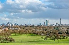 Primrose Hill e1548869578604 - January 2017